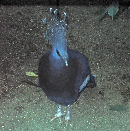Vogelpark Turnersee